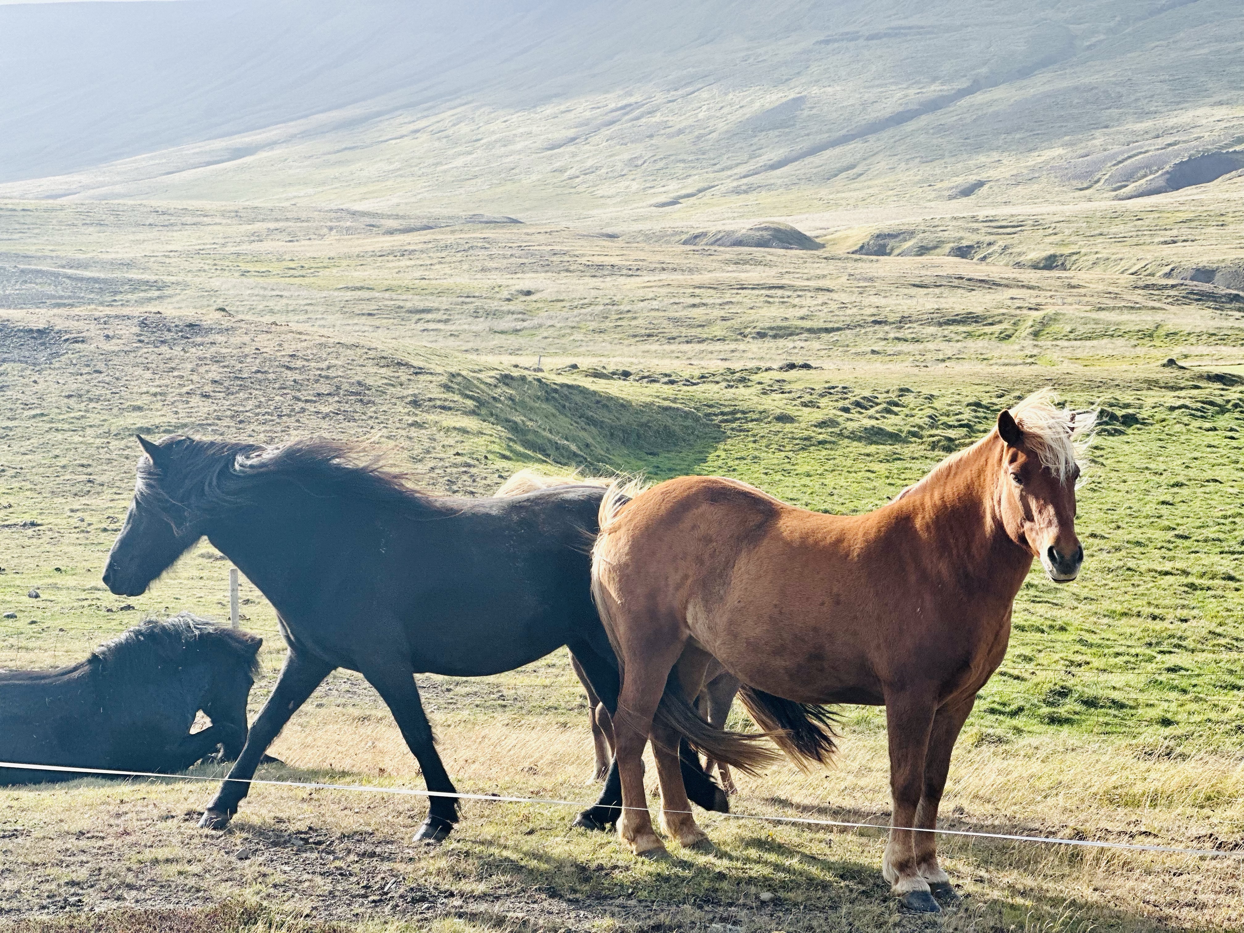 Day 4 – The True&nbsp;North